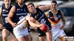 2018 Round 11 vs Adelaide Reserves Image -5b265f0a79dc5
